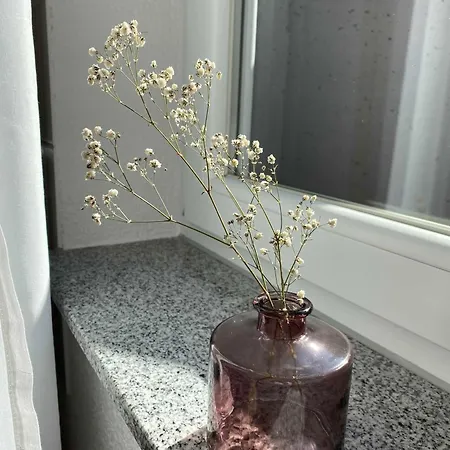 Im * הרבולצהיים